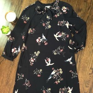 H&M Hummingbird Dress